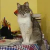 Отзыв от Татьяна Лаптева